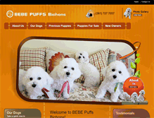 Tablet Screenshot of bebepuffsbichons.com